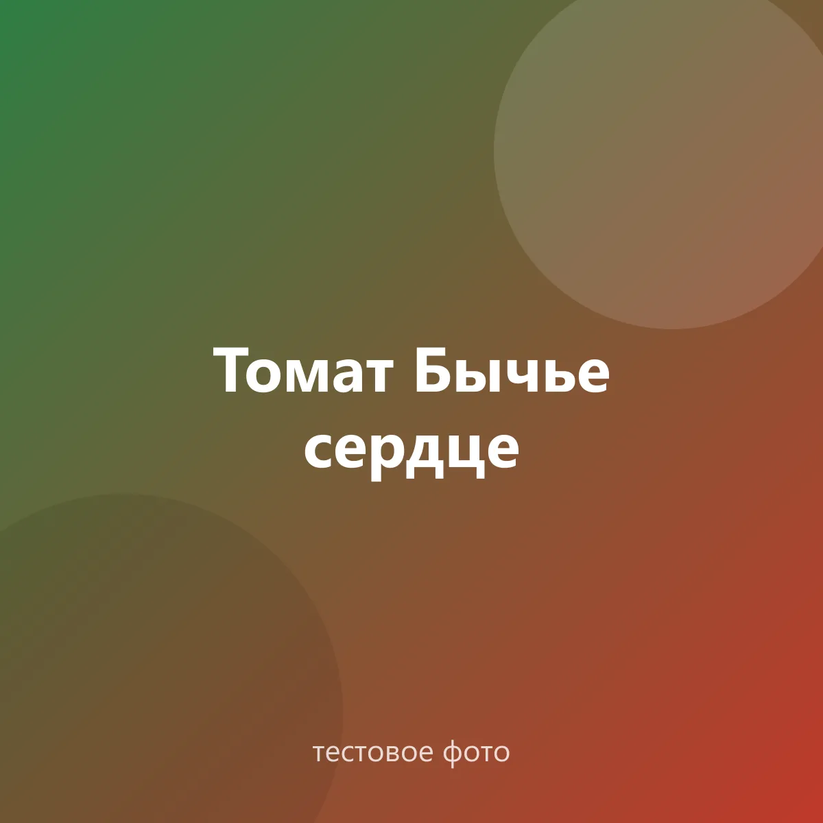 Томат «Бычье сердце»