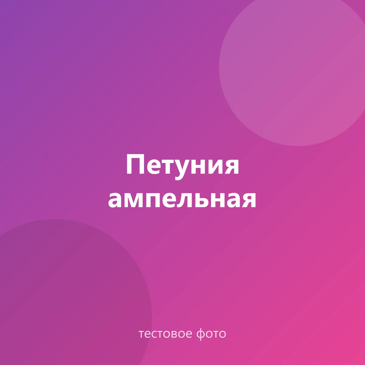Петуния ампельная