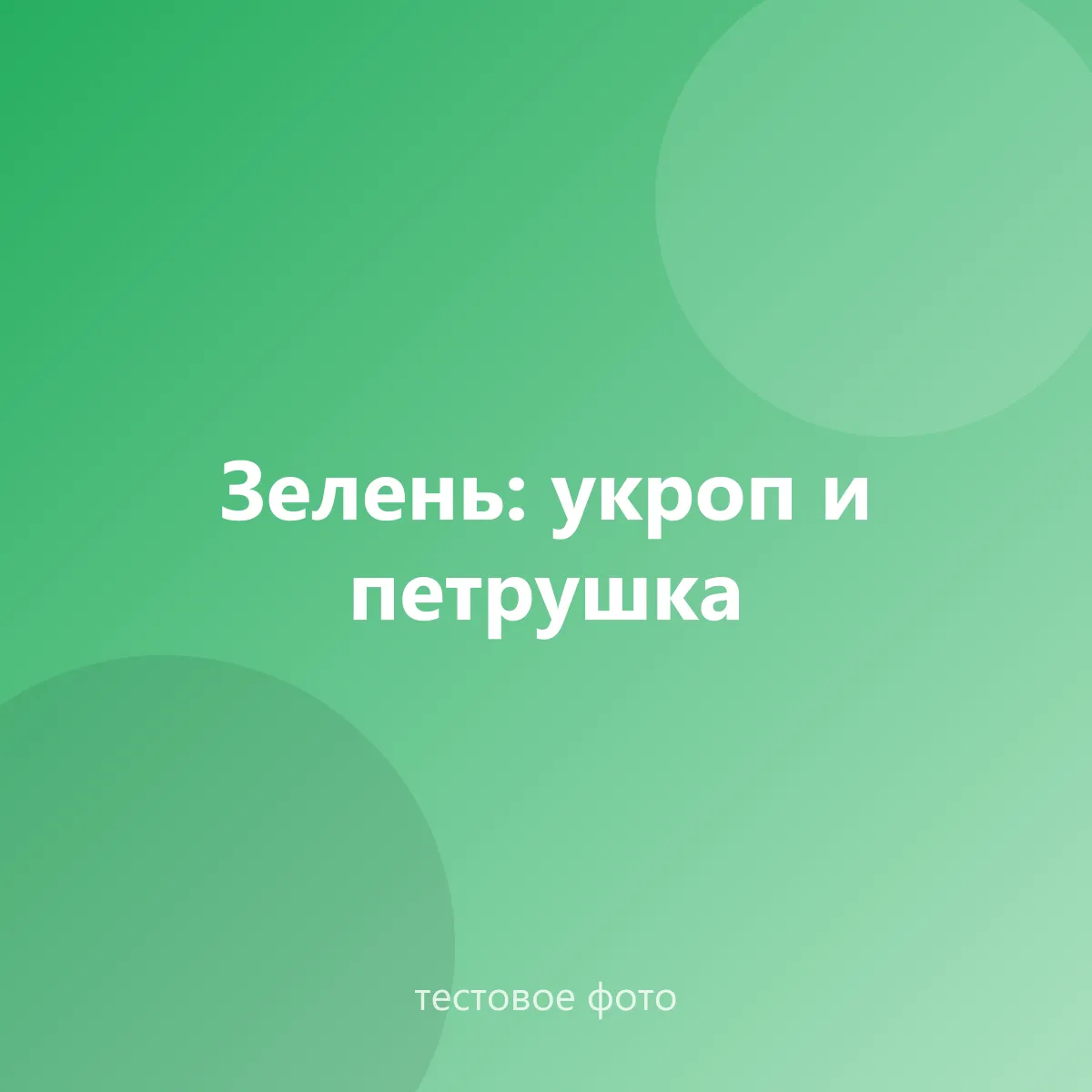 Зелень: укроп и петрушка